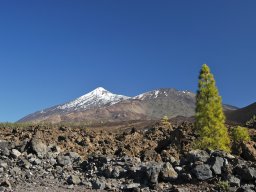 Tenerife2002-2003-008